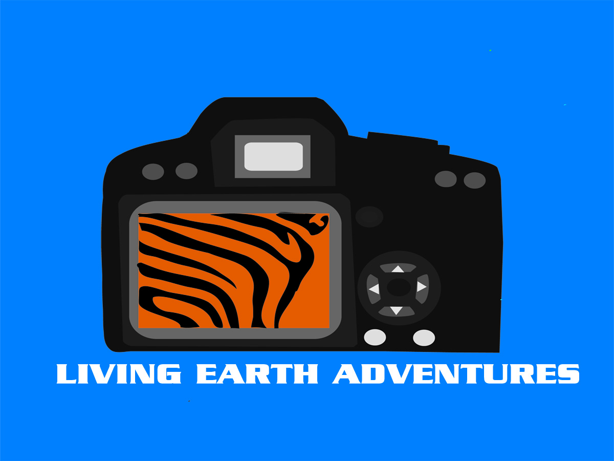 Logo Design by CharlotteCuttle for this project | Design #1269600