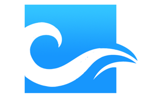 Logo Design by Borun