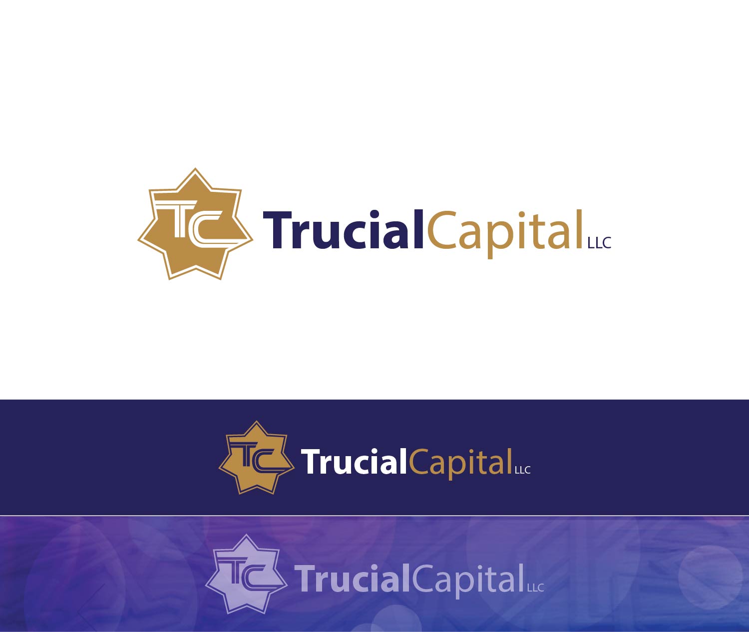Logo Design by TechWise for this project | Design #4533310