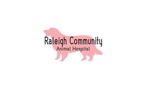 Logo Design by Perfect Designer