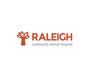 Logo Design by Davaus