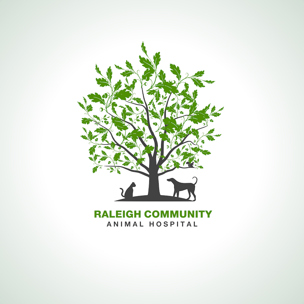 Logo Design by Revolt for this project | Design #4470434