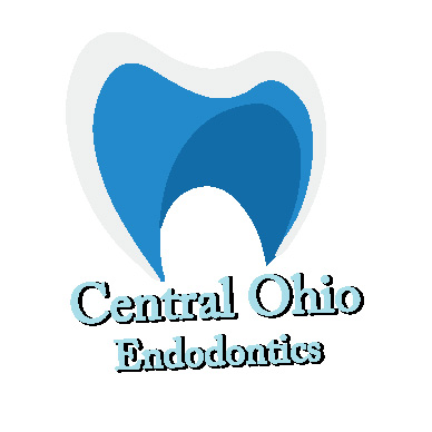 Logo Design by Mr Freelancer for this project | Design #4501511