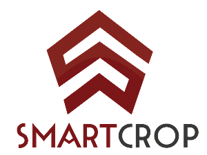 Logo Design by  John L. Vaiphei