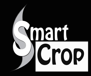 Logo Design by Dimension Productions