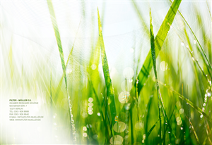 Brochure Design by Neoguy for Filter-M?ller | Design: #4465245