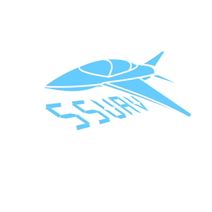 Logo Design by povin