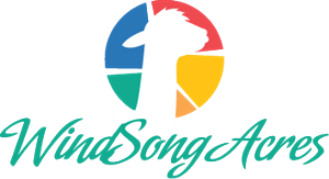 Logo Design by Lefky