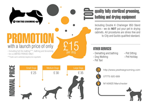 Flyer Design by Cheet Huan