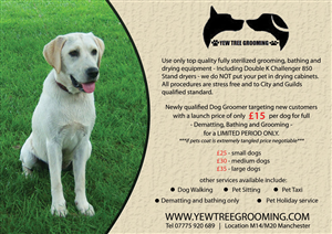 Flyer Design by Cris