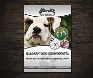 Dog Grooming Flyer Design | Flyer Design by AizerDS