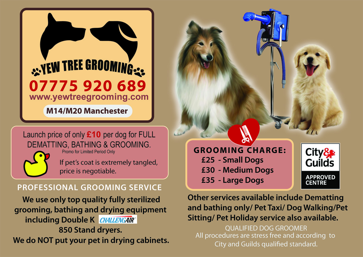 Flyer Design by Venus L. Penaflor for Yew Tree Dog Grooming | Design #4484911