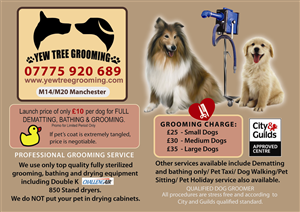 Flyer Design by Venus L. Penaflor for Yew Tree Dog Grooming | Design: #4484911