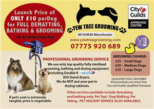 Flyer Design by Venus L. Penaflor for Yew Tree Dog Grooming | Design: #4486365