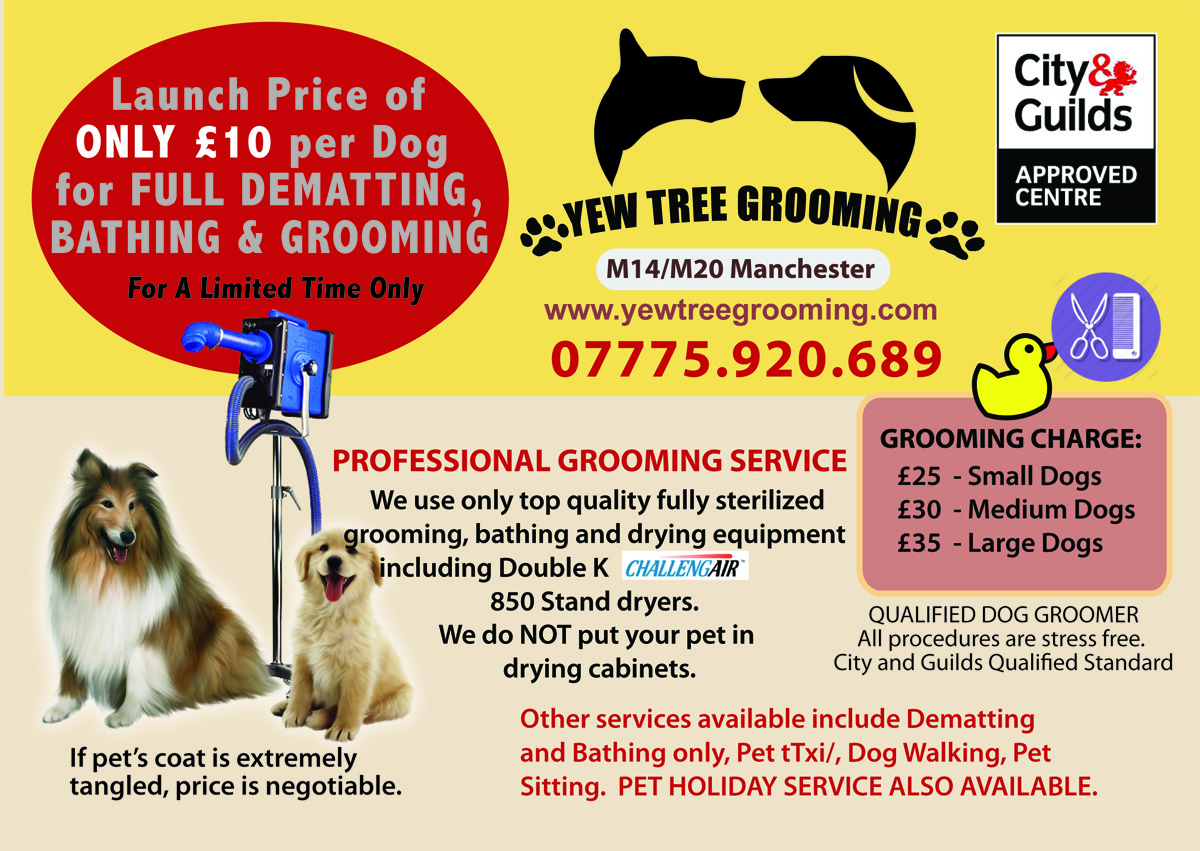 Flyer Design by Venus L. Penaflor for Yew Tree Dog Grooming | Design #4487601
