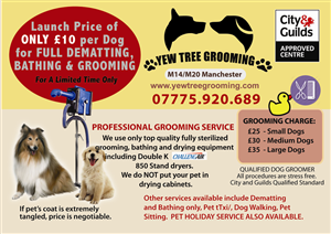 Flyer Design by Venus L. Penaflor for Yew Tree Dog Grooming | Design: #4487601