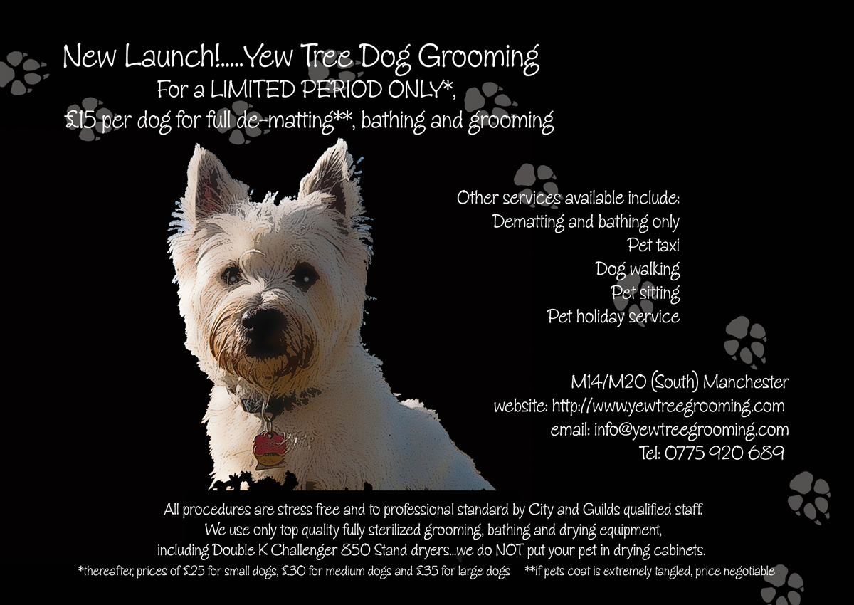 Design de Flyer par DennisTuiGlenStudio pour Yew Tree Dog Grooming | Design #4499401