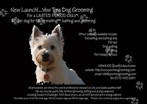 Flyer Design by DennisTuiGlenStudio