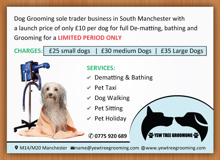 pet flyer design for yew tree dog grooming by sbss design 4489083 pet grooming flyers