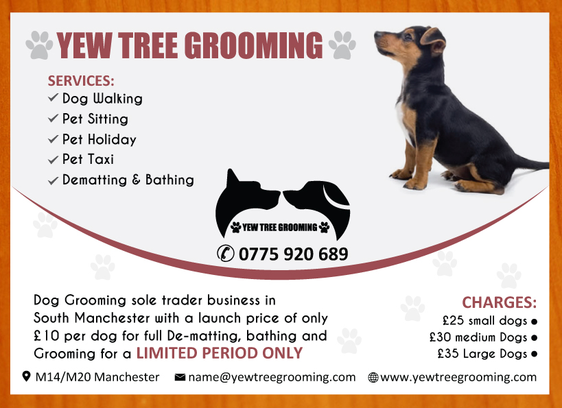 pet sitter flyers hola braggs co pet sitter flyer