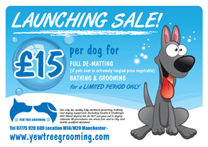 Design de Flyer par gumiho40 pour Yew Tree Dog Grooming | Design #4491452