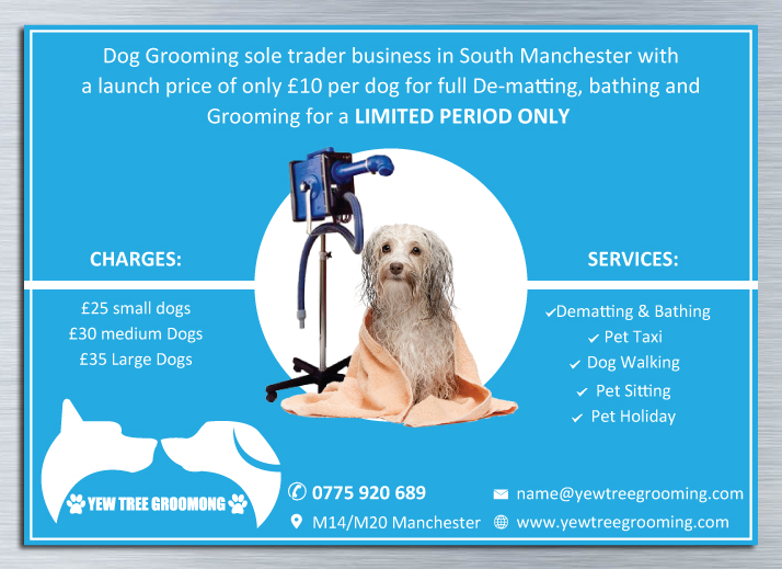 Flyer Design by Mac Ruskin for Yew Tree Dog Grooming | Design #4492056