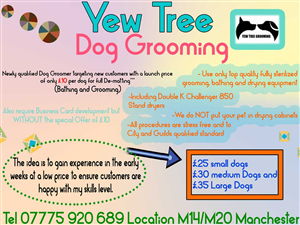 Flyer Design by Jeremy Designs for Yew Tree Dog Grooming | Design: #4483605