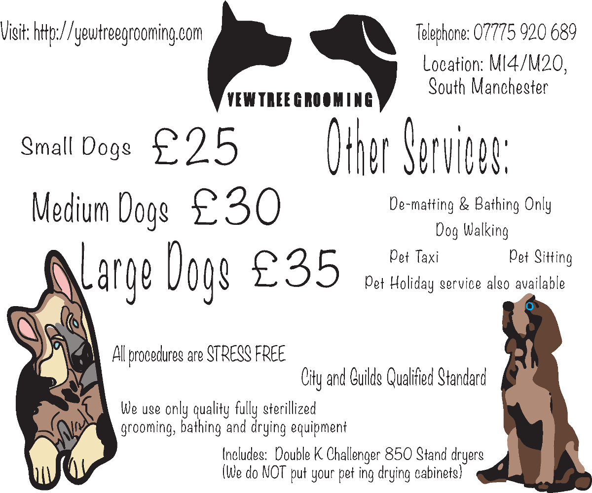 Flyer Design by staffertonmultimedia for Yew Tree Dog Grooming | Design #4485549