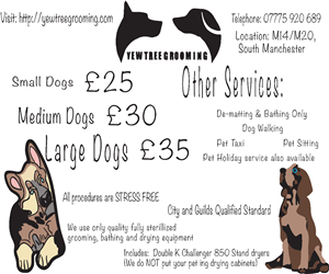 Flyer Design by staffertonmultimedia for Yew Tree Dog Grooming | Design: #4485549