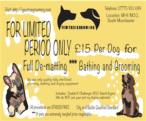 Flyer Design by staffertonmultimedia for Yew Tree Dog Grooming | Design: #4493371