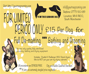 Flyer Design by staffertonmultimedia for Yew Tree Dog Grooming | Design: #4499074