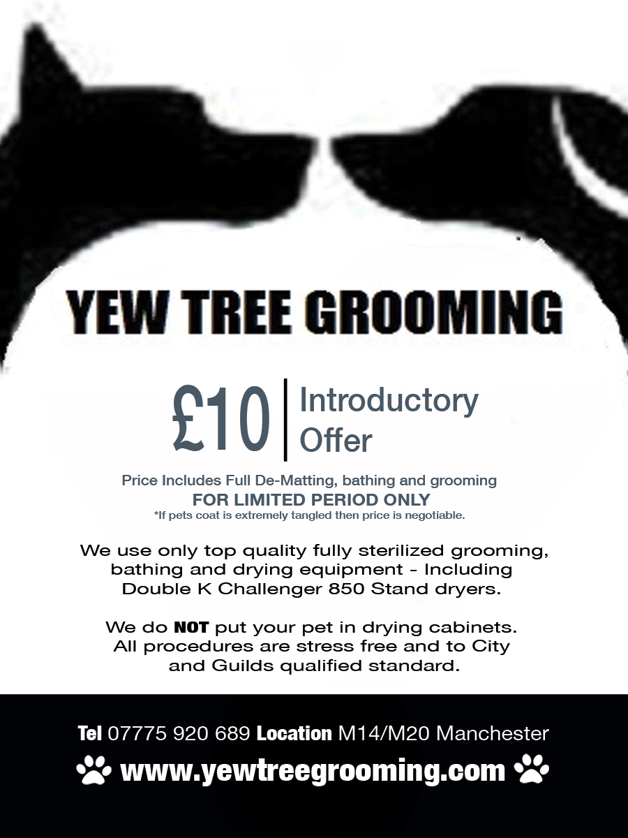 Flyer Design by Pure Designer for Yew Tree Dog Grooming | Design #4483172
