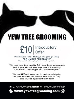 Flyer Design by Pure Designer