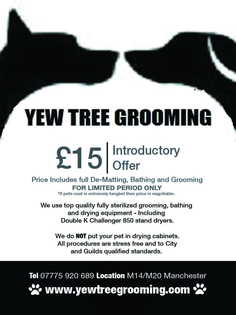 Diseño de Flyer por Pure Designer para Yew Tree Dog Grooming | Diseño #4487685