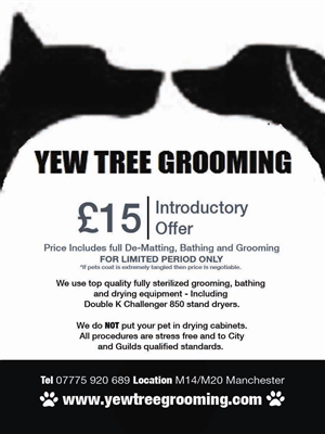 Flyer Design by Pure Designer for Yew Tree Dog Grooming | Design: #4487685