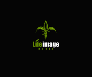 Logo Design by Jonpars for Canvas Media | Design: #4524326