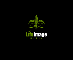 Logo Design by Jonpars for Canvas Media | Design: #4524333