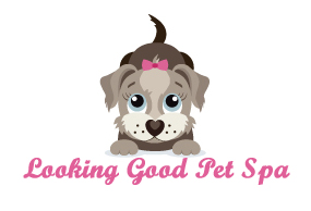 Logo Design by Viranidevelopers