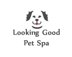 Logo Design by Viranidevelopers for this project | Design #4480156