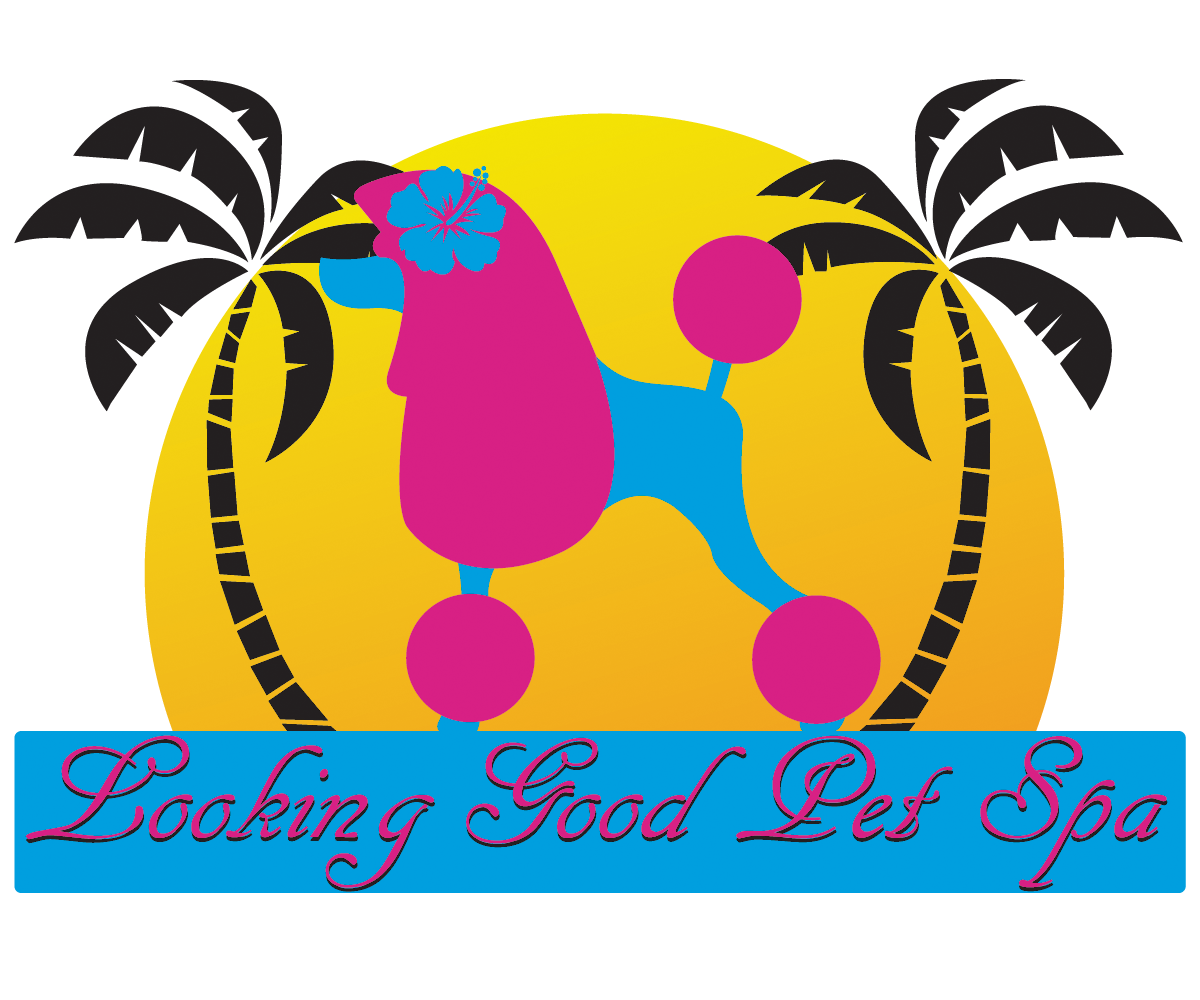 Logo Design by georgetattoo36 for this project | Design #4482788