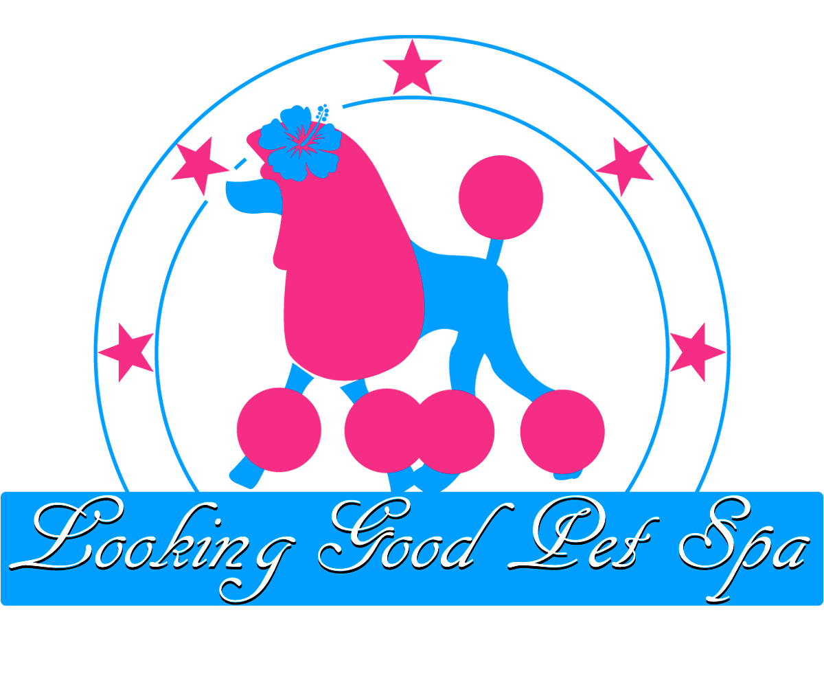 Modern, Feminine, Painting Logo Design for Looking Good Pet Spa by