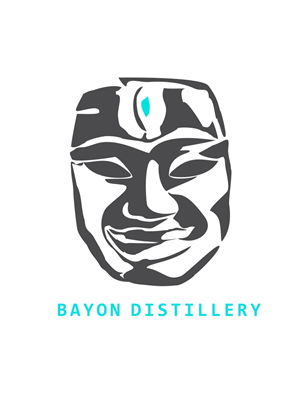 Logo Design by helenaspridzane