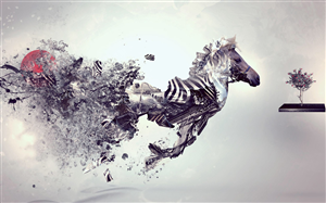 Graphic Design by N.k