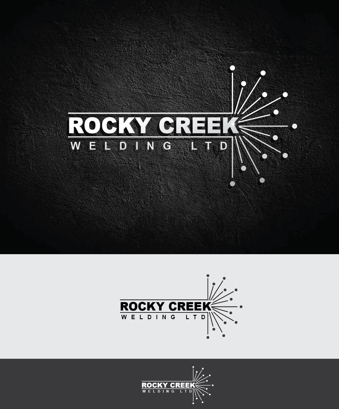Logo Design by alizainbarkat for this project | Design #4561404