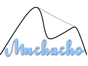 Logo Design by Tim