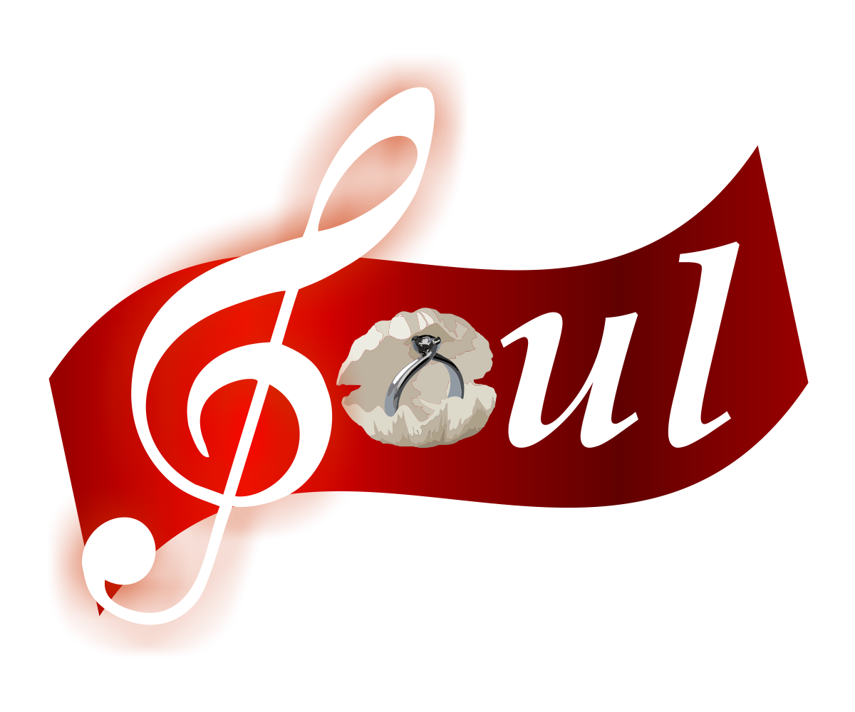 Design de Logo par Dan Sabanovici pour ce projet | Design #1334114