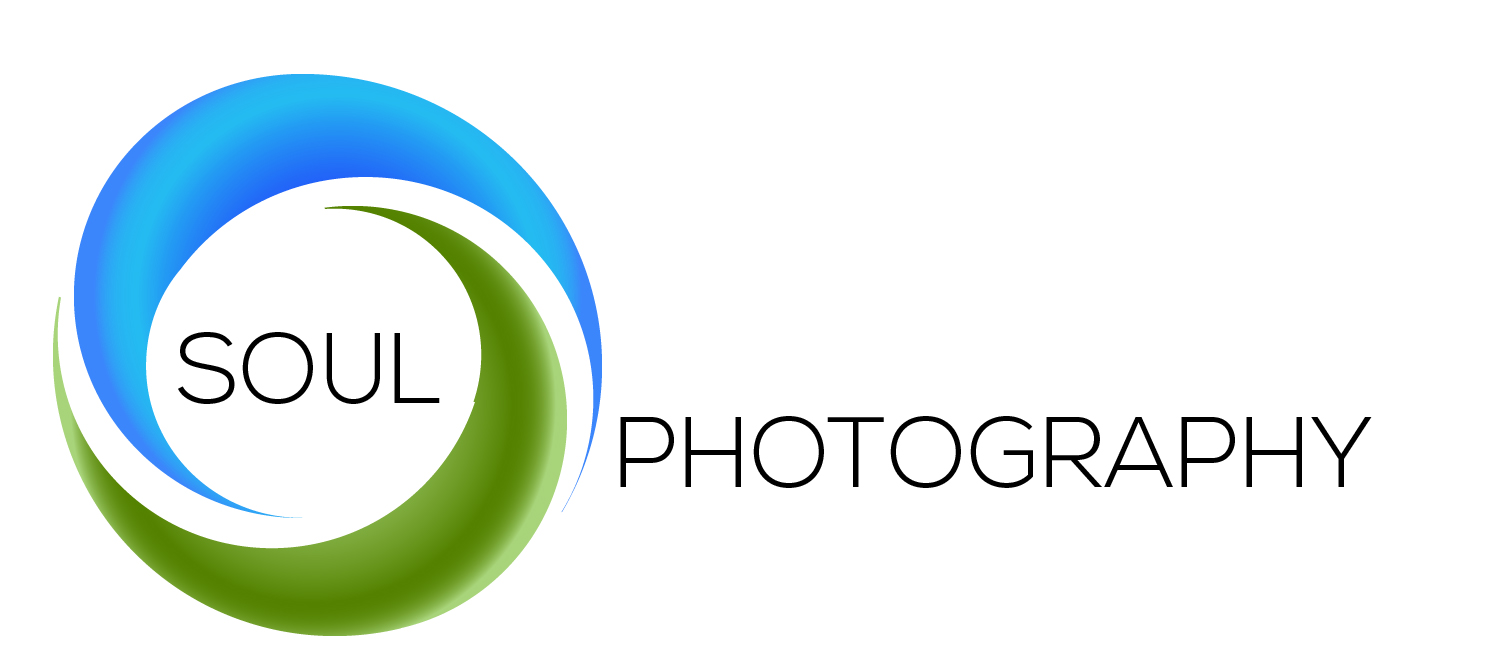 Design de Logo par dragonfly1203 pour ce projet | Design #1334511