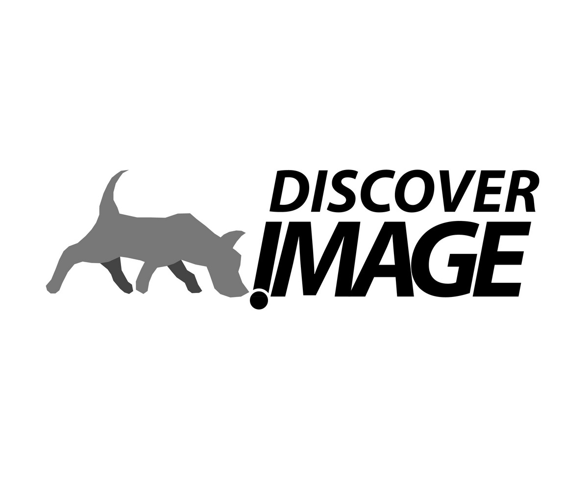 Logo Design by sergio for this project | Design #6263880