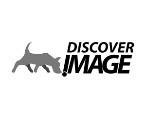 Logo Design by sergio for this project | Design: #6263880