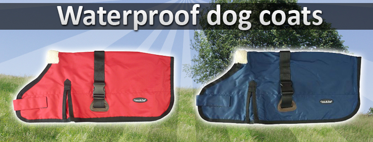 Graphic Design by Levardos for this project | Design #1295375